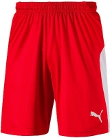 LIGA Shorts 